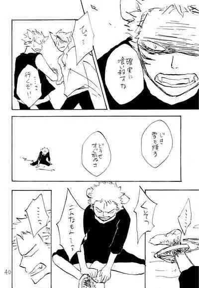 海の虹が沈む森