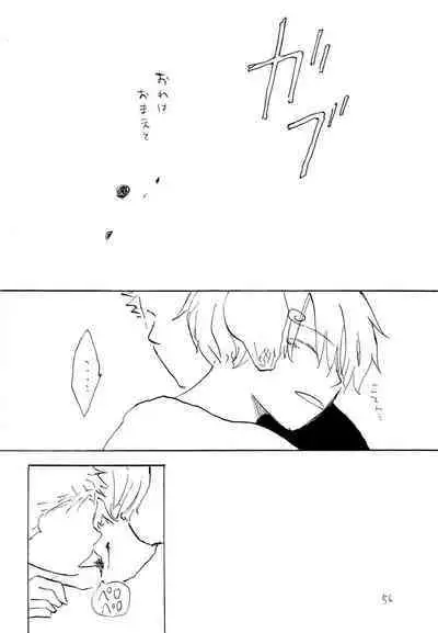 海の虹が沈む森