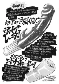 [Yanagawa Rio] Joy Toy