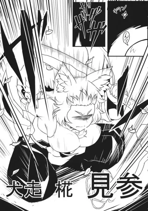 BE CAREFUL ABOUT A WOLF