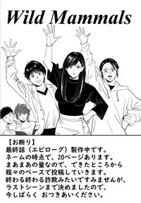 Wild Mammals