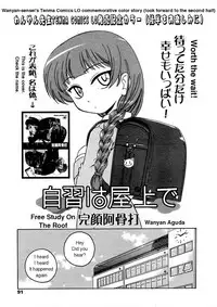 Free Study On The Roof (eng)