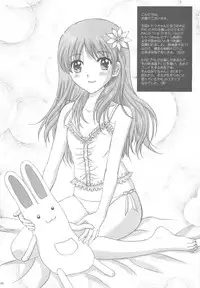 (C78) [STUDIO PAL (Nanno Koto)] Himitsu no Shimai (Atelier Totori)