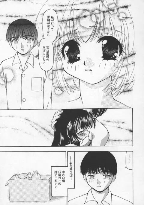 Cats On The Black Cage