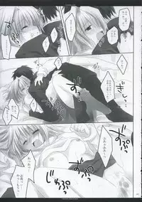 [CHRONOLOG, R-Works] A moonlit garden (Tsukihime,Fate/Stay Night)