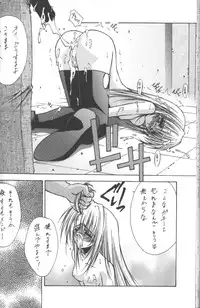 (C60) [BLUE GARNET (Serizawa Katsumi)] BLUE GARNET XIII SILENCE (Black Cat)