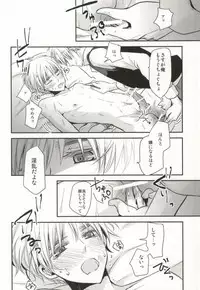 (SC48) [Dolce Einsatz (Tomoe Kiko)] IMITATION PLAY (Hetalia: Axis Powers)