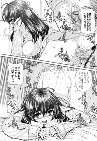 [Yoshida Inuhito] Siskano