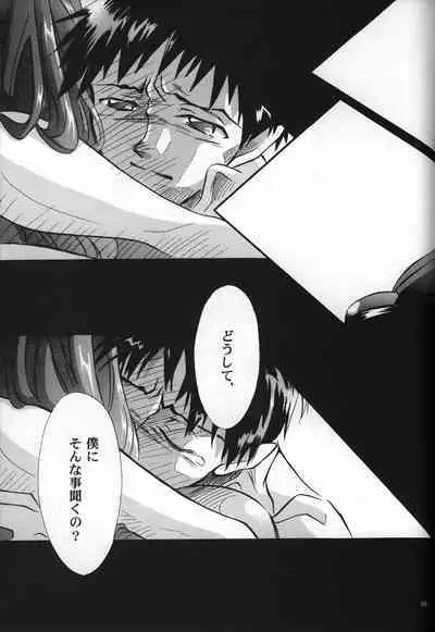 <Shinyaku> neon genesis document G