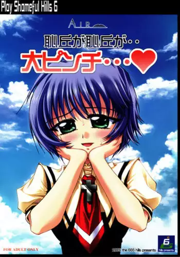 (C68) [666 no Oka (Mu Mu Munou)] Chikyuu ga Chikyuu ga.. Dai Pinch... (Air)