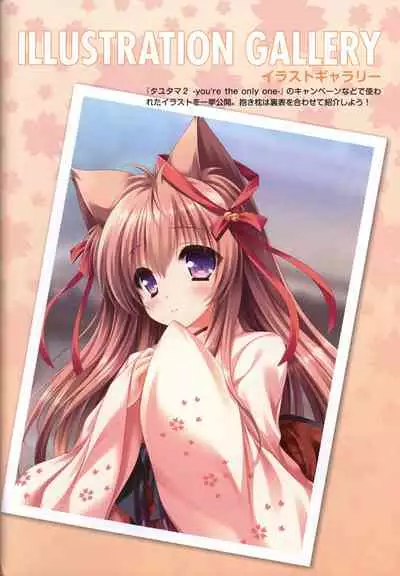 Tayutama2 Visual Art Fanbook