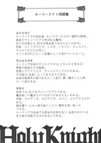 [Miyazaki Maya] Holy Knight 1