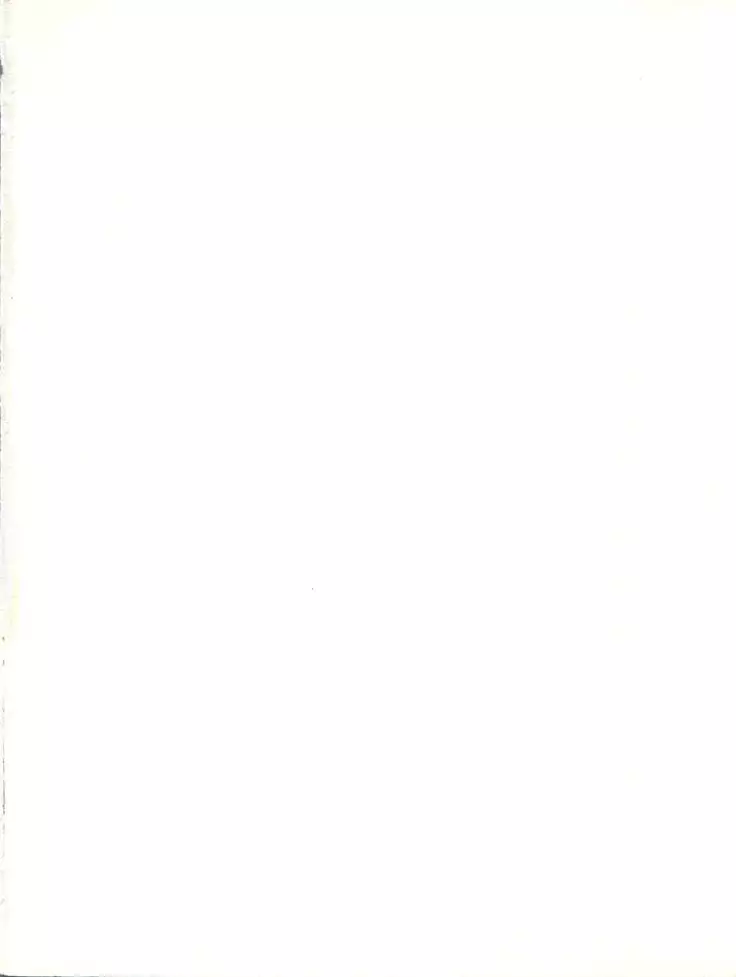 ORANGE GALLERY SAKATA SPECIALl