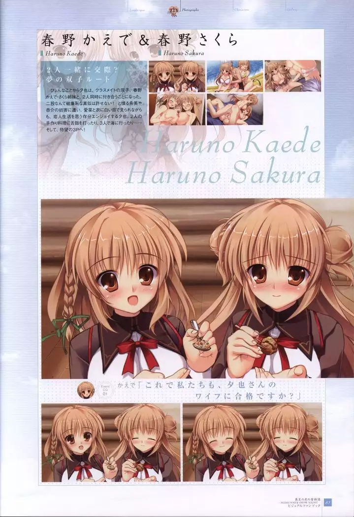 Manatsu no Yoru no Yukimonogatari -MIDSUMMER SNOW NIGHT- Visual Fanbook