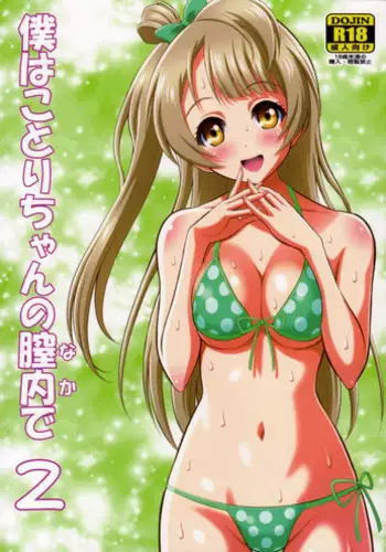 (C84) [GUST (Harukaze Soyogu)] Boku wa Kotori-chan no Naka de 2 (Love Live!)