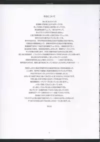 [CHRONOLOG, R-Works] A moonlit garden (Tsukihime,Fate/Stay Night)