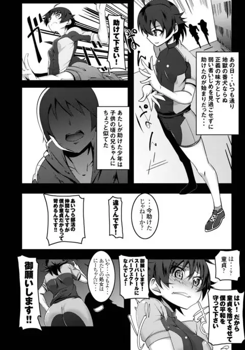 Netoraregatari Soushuuhen