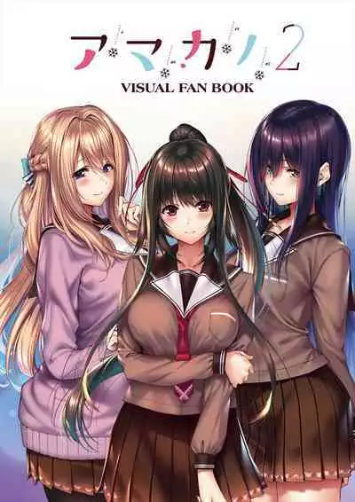 Amakano 2 Visual Fan Book