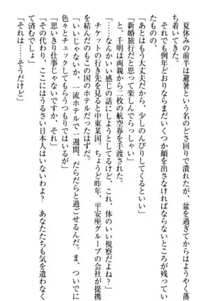 年上メイドの新婚日記