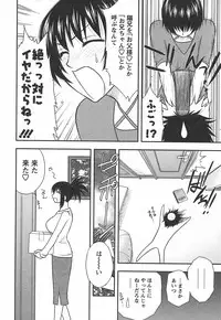 [Maeda Sengoku] Morino Sanchi no Muko Jijou