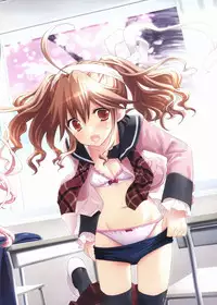 Sakura Sakura Visual Fan Book