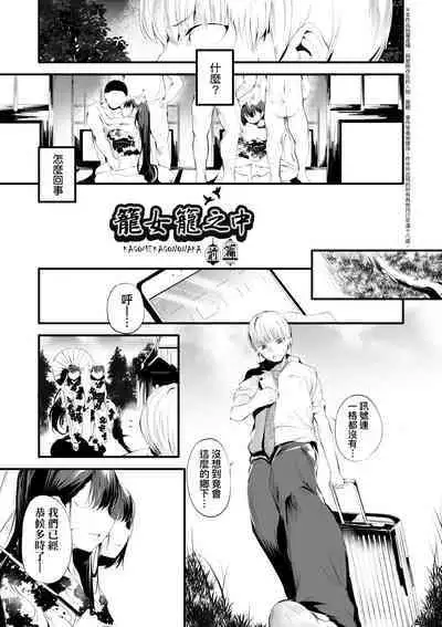 Shinme Tori - symmetry