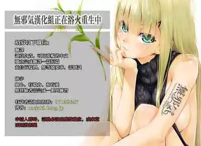 Otome Kishi no Himegoto