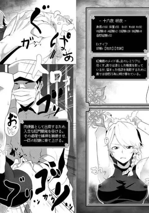 Touhou Ero Status Goudou