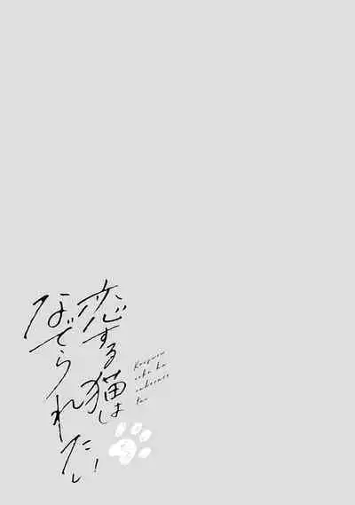 恋爱中的猫咪想被抚摸