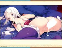 Eiyuu＊Senki GOLD Visual Fanbook