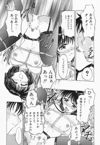 [Pegasus] Choukyou Princess