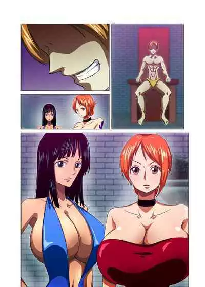 [Q Doujin] Onna Kaizoku ga Himitsu no Settai (One Piece)