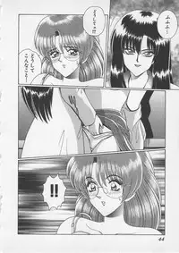 [Gun Ryuusei] Wakakusa Bishoujotai vol.3