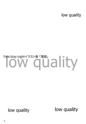 Fate/stay night イラスト集 「薄闇」