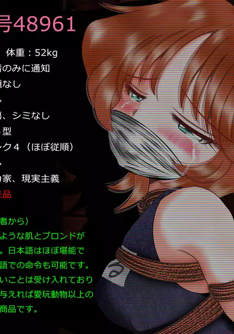 舶来少女シリーズ