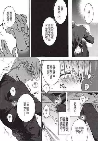 Chihireru Kubiwa | 碎裂的项圈