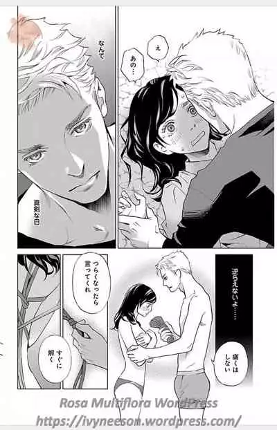 Subete Ai no Shiwaza/愛調教成性俘虜/爱调教成性俘虏/すべて愛のしわざ——もんでんあきこ vol 1-3End