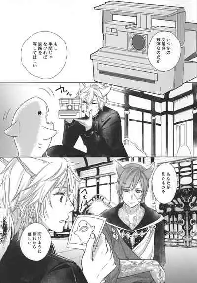 [Nawofu Mochi (Nawofu)] Focus (Final Fantasy XIV)