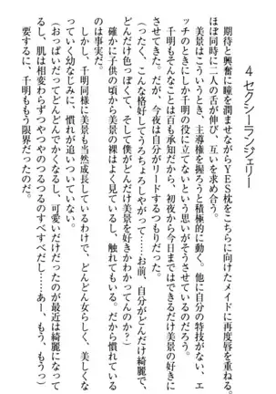 年上メイドの新婚日記