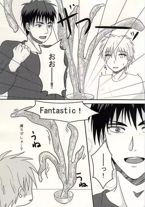 変幻自在のマジカルSYOKUSYU