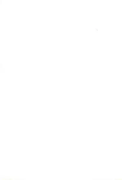 SYL - Spread Your Legs