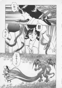 [Gun Ryuusei] Wakakusa Bishoujotai vol.3