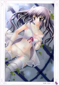 [Rabbit] habit net chronicles 2nd volume