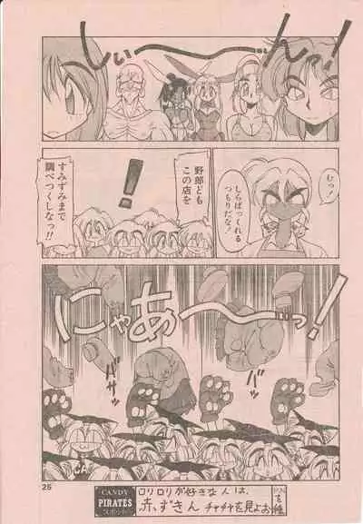 新造人間ストラグルバニー未収録分