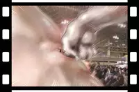 [NEO’GENTLE] Virginal Relna 1