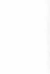 [Qcumber (kyuuri)] Gakkyuu Iinchou Horikawa Kunihiro (touken ranbu)