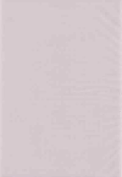 (C51) [RAINBOW FORCE (Minakami Hiroki)] Be WILD (Bakusou Kyoudai Let's & Go!!)