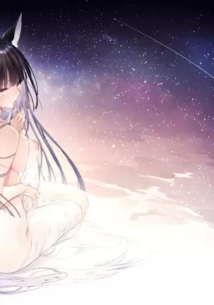 Irui Konintan Seiya | 이종혼인담