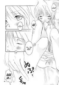 [Sakurara & Cherry (Sakura Mitsuru)] Pink Snow memoria (Hunter x Hunter)english