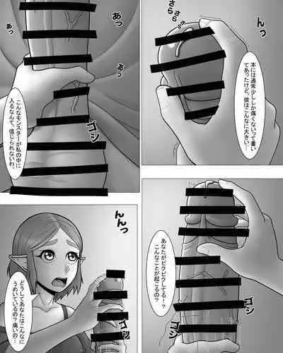 Zeruda no Densetsu: Purinsesu to Sugosu Yoru